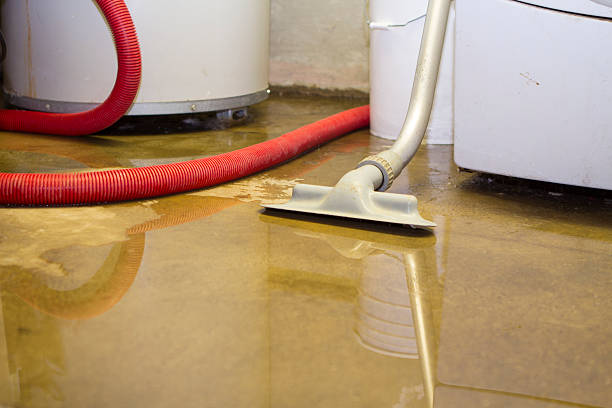  Stansbury Park, UT Water damage restoration Pros