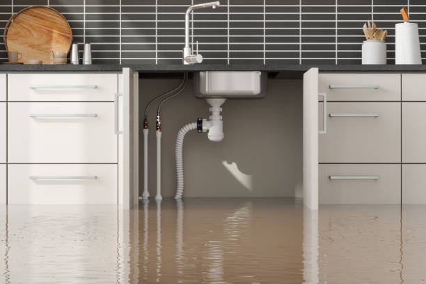 Best Water damage cleanup near me  in Stansbury Park, UT